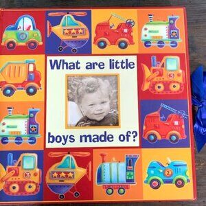 What Are Little Boys Made Of? Photo Album